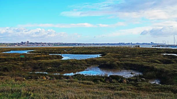 vue sur la terre de marais du parc de campagne de canvey heights vers southend sur la mer - île de canvey photos et images de collection