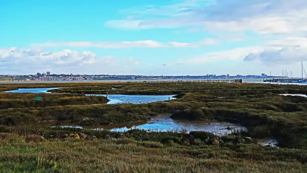 Scenic view from Canvey Heights country park over marsh land looking towards Oyster Creek boat mooring, the river Thames estuary and Southend on Sea in the far distance. Canvey Island, Essex, March 8, 2020