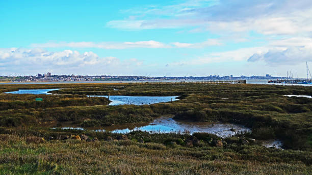 vista sobre a terra pantanosa do parque rural de canvey heights em direção a southend on sea - estuary - fotografias e filmes do acervo