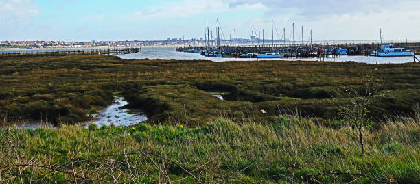 vue sur la terre de marais du parc de campagne de canvey heights vers southend sur la mer - île de canvey photos et images de collection