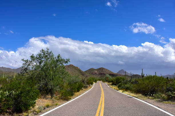 istock Saguaro National Park 1211161523