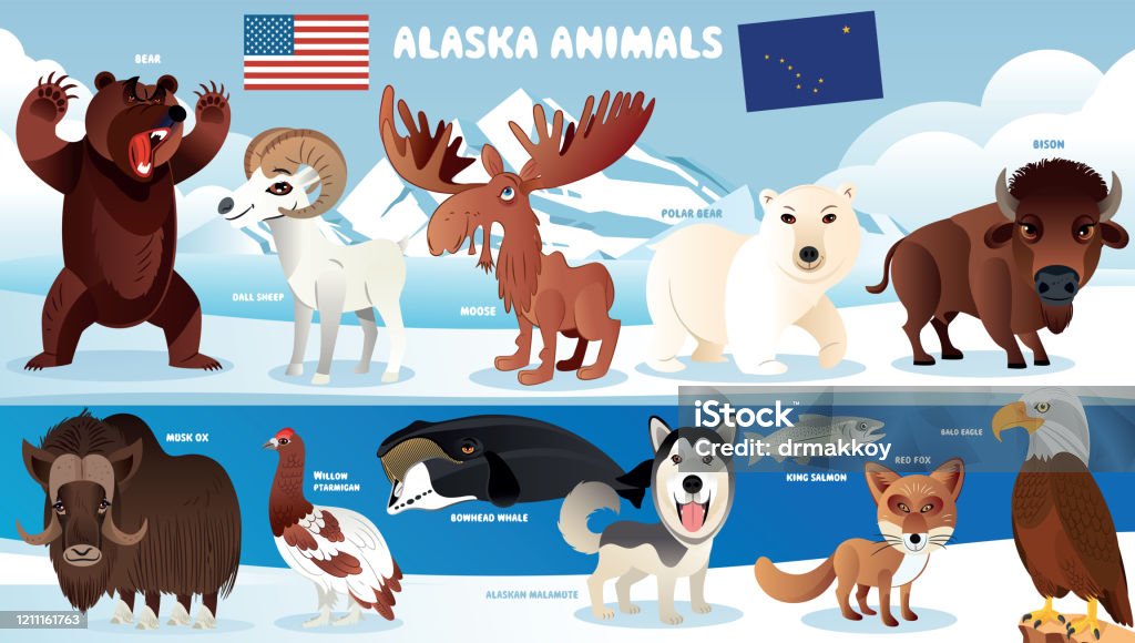 Alaska Animals Stock Illustration - Download Image Now - Bear, Dog, Vector  - iStock