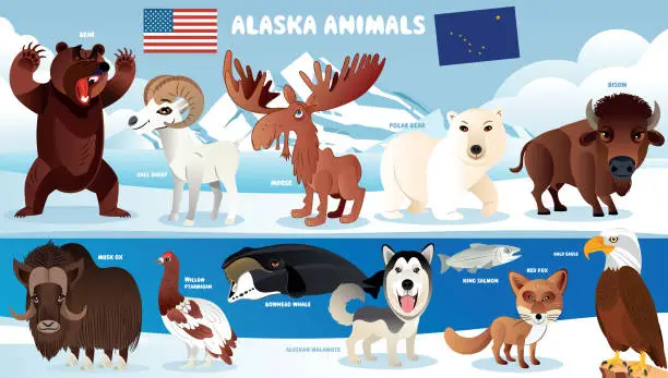 Vector illustration of Alaska Animals