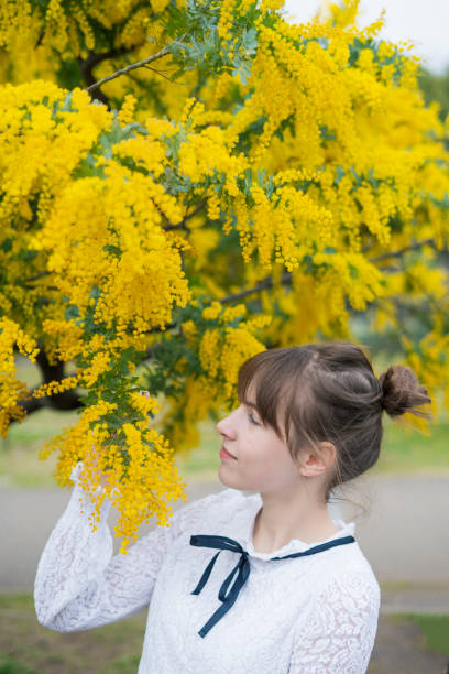 istock A woman watching mimosa blossoms 1211163164