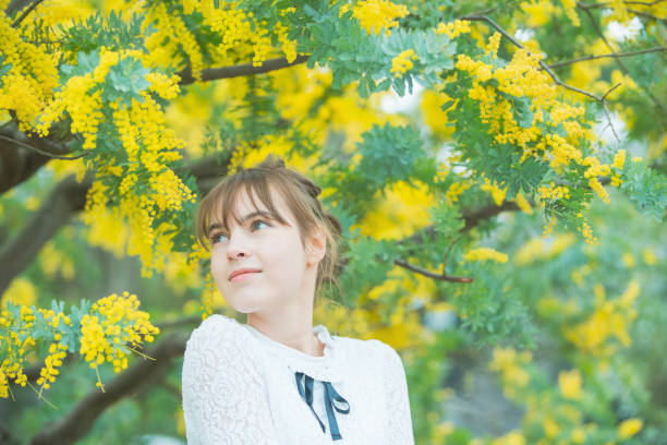 istock A woman watching mimosa blossoms 1211163262
