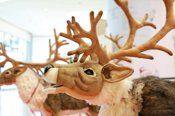 istock Reindeer doll for christmas and wintern theme. 1211163827