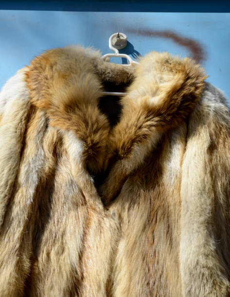 istock fur of a fox on a background 1211165159