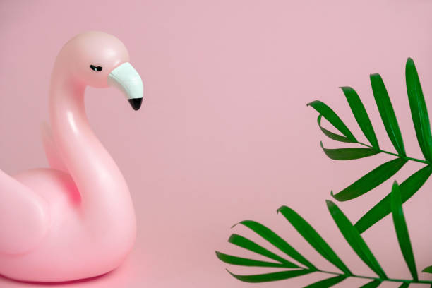 istock pink flamingo and green palm leaves  frame 1211170458
