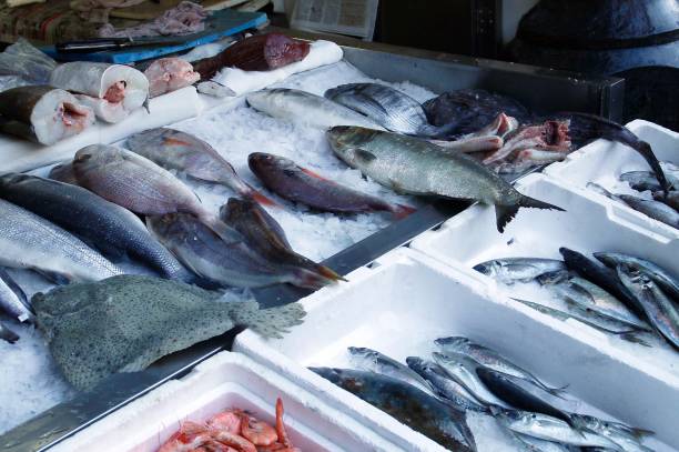 Sale of fresh sea fishes in a traditional Portuguese market. Boxes of sea fishes and seafood at the Bolhão market (Porto, Portugal). catch of fish photos stock pictures, royalty-free photos & images