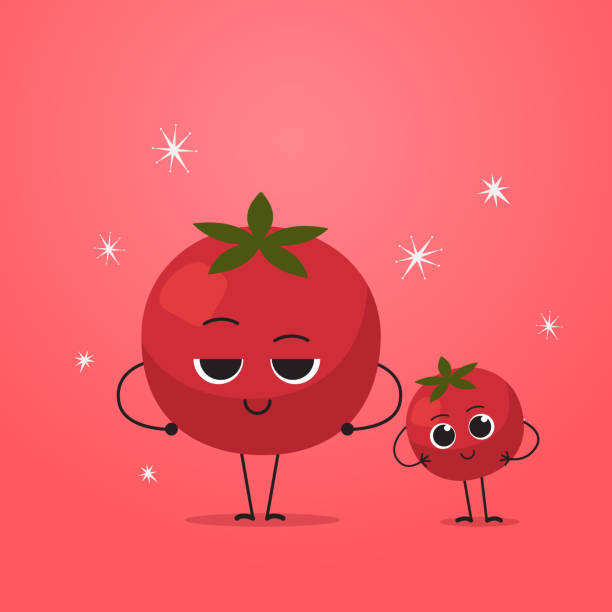 cute red tomato characters couple funny cartoon mascot vegetable personages healthy food concept cute red tomato characters couple funny cartoon mascot vegetable personages healthy food concept vector illustration tomato face stock illustrations