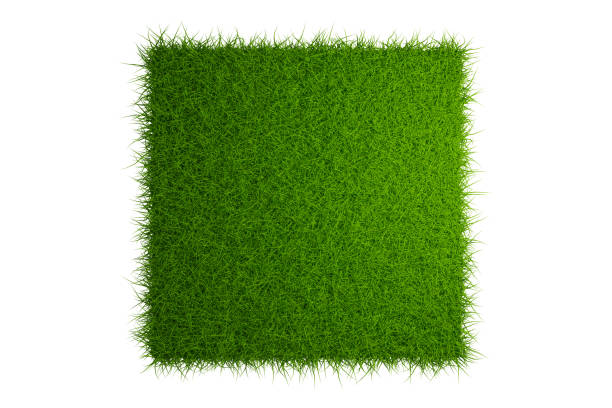 istock top view grass field isolated on white background with clipping path 1211174007
