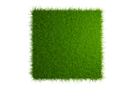 top view grass field isolated on white background with clipping path, 3d render
