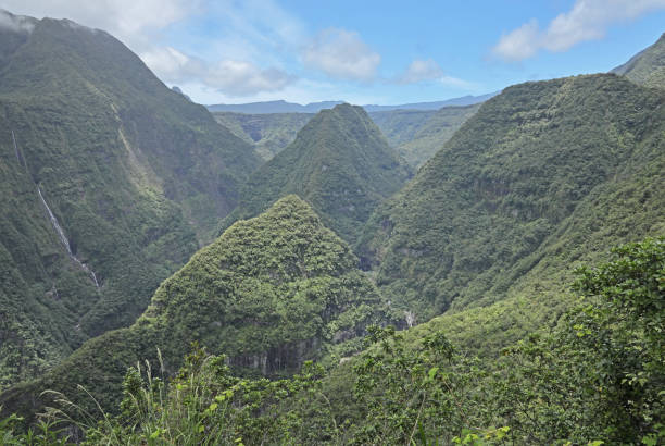 istock view over forested mountains on Reunion Island 1211174382