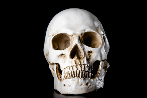 Human skull isolated on black background. Halloween day concept.