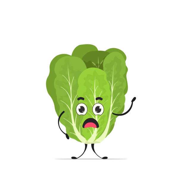 cute romaine charakter kreskówka maskotka warzyw zdrowa żywność koncepcja izolowane ilustracji wektorowych - romaine sałata stock illustrations