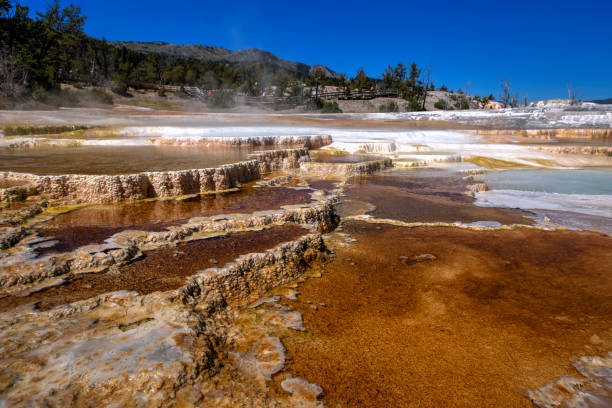 geothermiegebiet in mammoth hot springs, yellowstone nationalpark, wyoming - sulfide stock-fotos und bilder