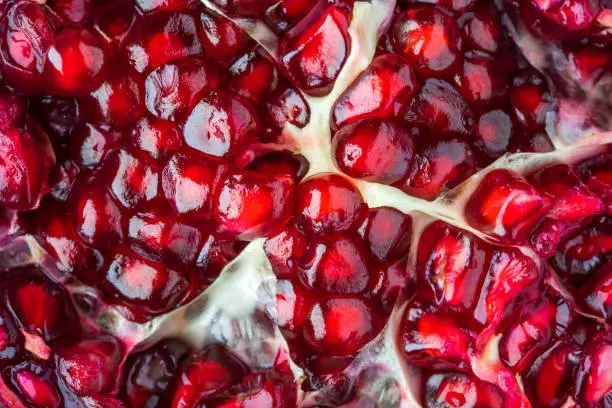 pomegranate close-up