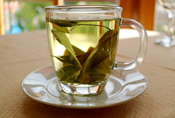 istock Cup of Hot Coca-Leaf Tea for preventing altitude sickness in Peru 1211180476