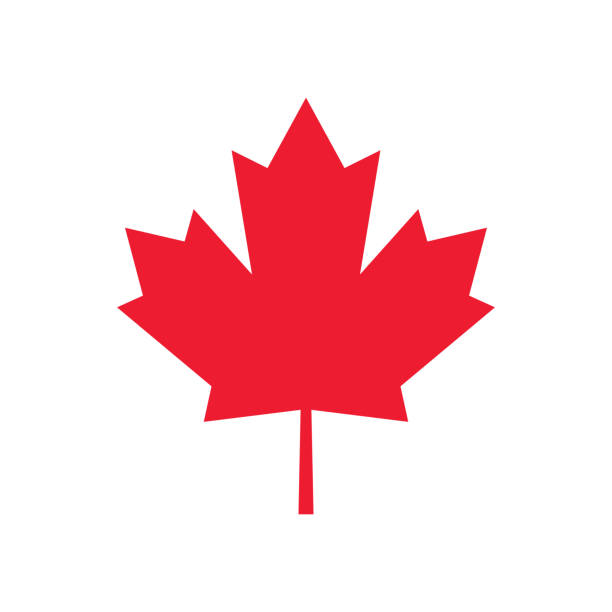 illustrazioni stock, clip art, cartoni animati e icone di tendenza di icona foglia d'acero. simbolo canadese. illustrazione vettoriale. illustrazione di repertorio - leaf canadian culture maple leaf canada