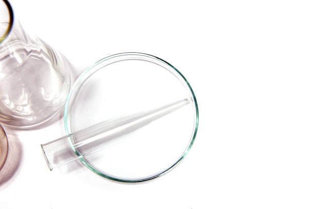 istock Petri dish, flask and beaker for chemical experiments 1211181950