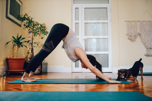 istock Woman practicing yoga in a studio with her pet dog 1211181961