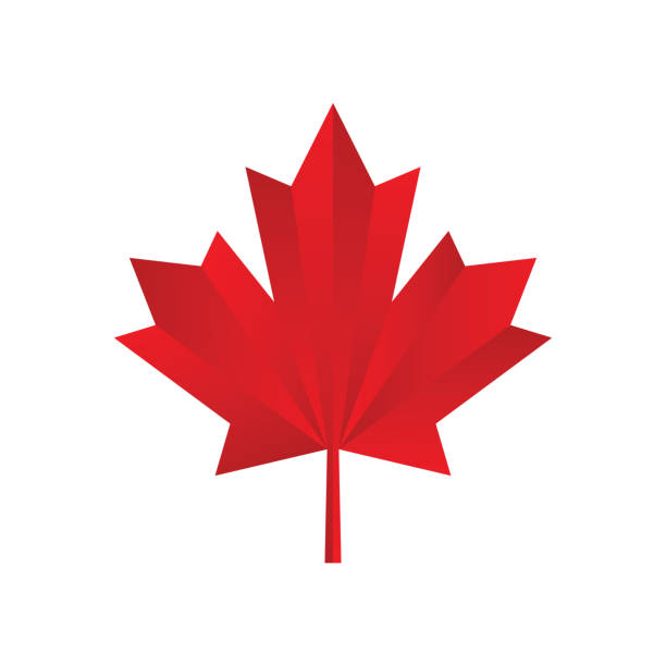 ikona liścia klonu. symbol kanadyjski. ilustracja wektorowa. ilustracja na giełdzie - canadian flag stock illustrations