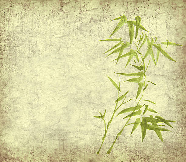 istock bamboo on old grunge paper texture background 121118357