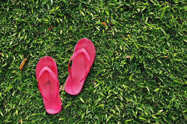 A pair of pink slippers on a green grassy field stock photo