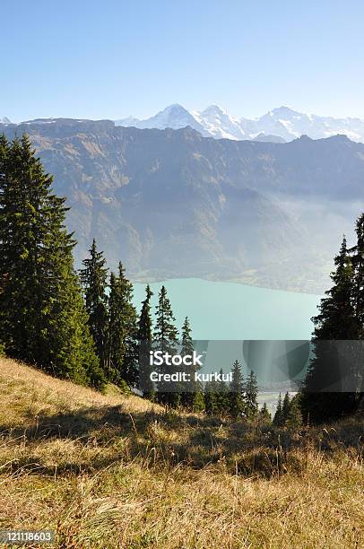 Monte Eigermonte Mönchjungfrau - Fotografie stock e altre immagini di Alpi - Alpi, Alpi Bernesi, Alpi svizzere