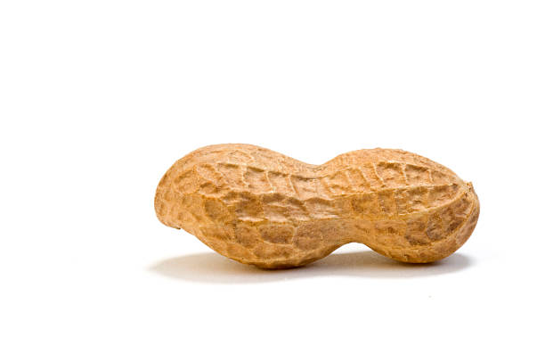 Perfect Peanut Close Up Macro stock photo