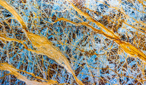 istock Ancient marmor floor stock photo 1211190263