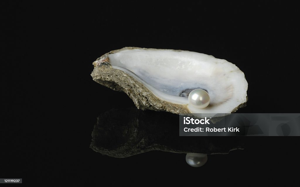 Perles de Coquille d'huître - Photo de Perle huîtrière libre de droits