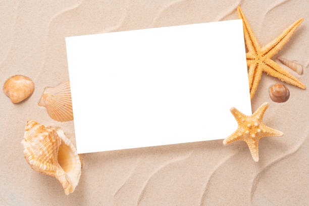 istock Minimal Frame summer background, Sand shells Seastar vacation and travel concept, Flat lay top view copy space 1211193952