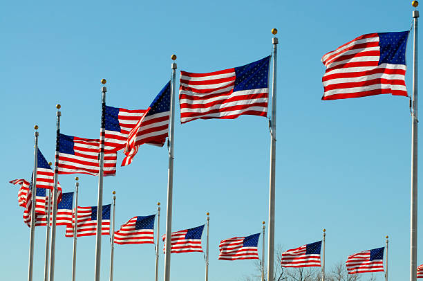 istock Row of  American Flags 121119414
