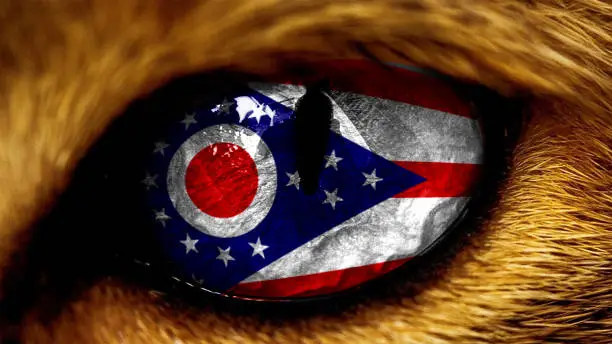 Photo of Ohio state USA capitol flag on Tiger lion  eye with masking