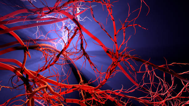 istock New blood vessel formation 1211202815