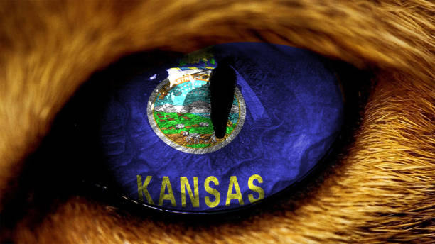 Kansas state USA capitol flag on Tiger lion  eye with masking Kansas state USA capitol flag on Tiger lion  eye with masking kansas basketball stock pictures, royalty-free photos & images