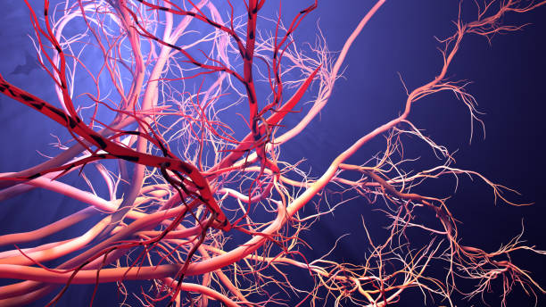 istock New blood vessel formation 1211202927
