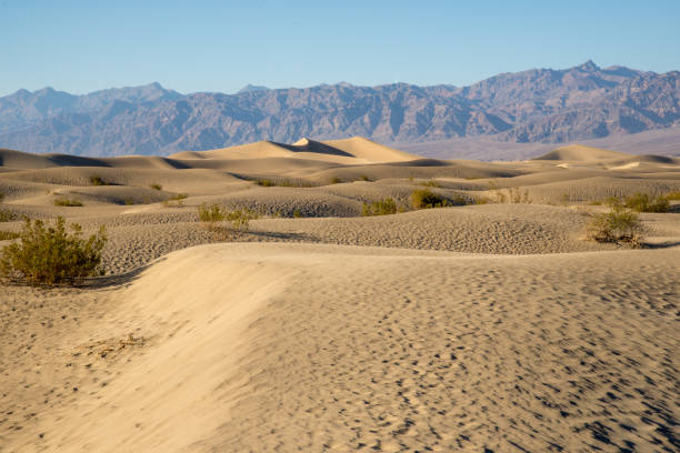 istock A trip in west USA death valley dunes 1211203858