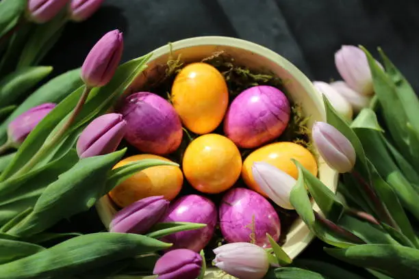 Easter decoration, yellow and purple eggs surrounded by purple and rose tulips