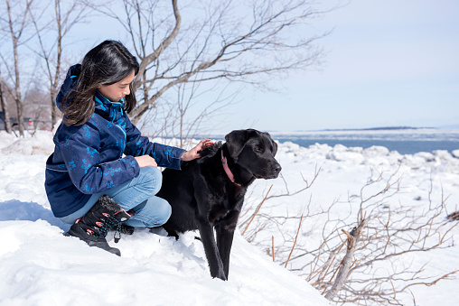 Young girl petting a dog