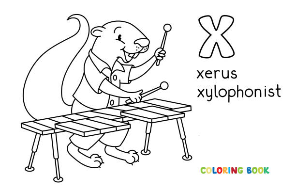 Xerus xylophonist ABC coloring book. Alphabet X Coloring book of funny musician or xylophone player. Animals with profession ABC. Children vector illustration. Alphabet X for kids african ground squirrel stock illustrations