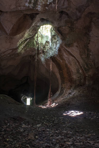 istock Ambrosio Cave, Varadero, Cuba 1211209864