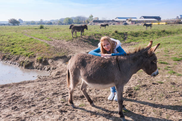 istock Unusual pet donkey with his owner on a farm 1211210252