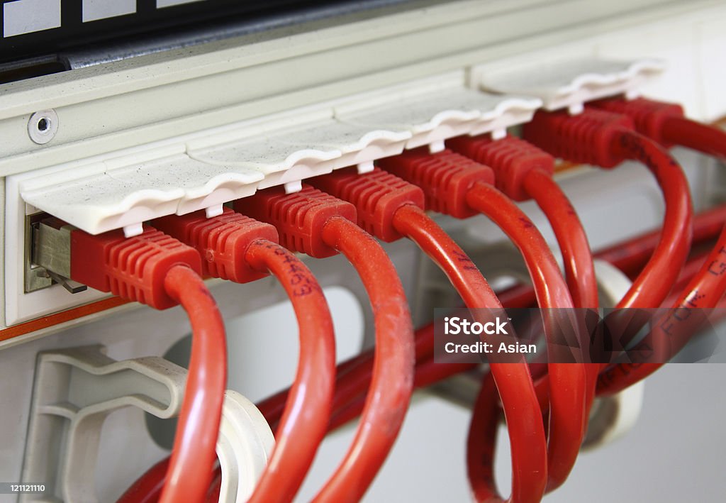 Red Netzwerk UTP-Patch-Kabel - Lizenzfrei Ausrüstung und Geräte Stock-Foto