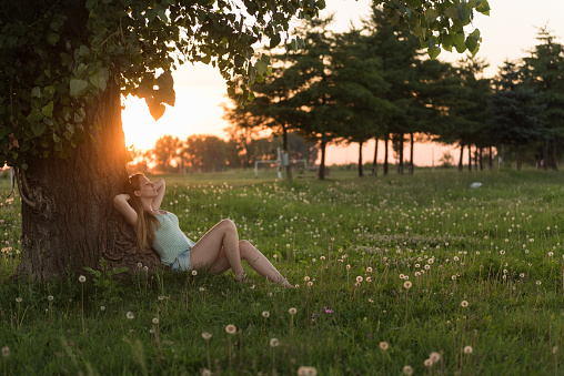 Young woman enjoying sunset under tree, thinking about future, relaxing, feeling free.