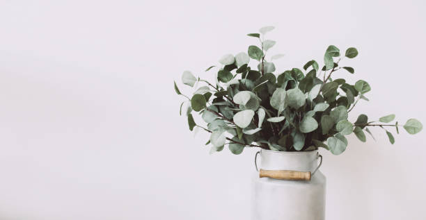 istock Eucalyptus bouquet vase 1211213673