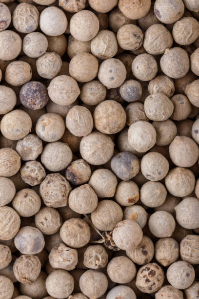 istock white peppercorns seed on white acrylic background 1211214850