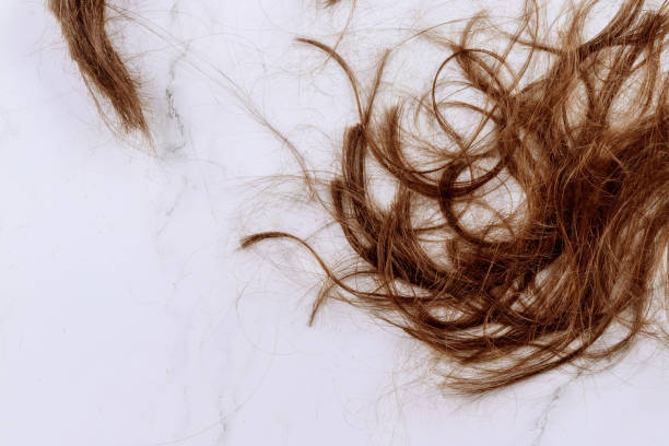 istock Hair endings trimming procedure 1211217619