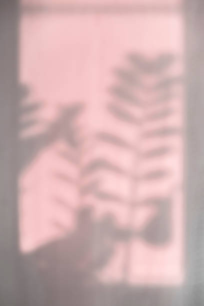 istock Abstract blurred vertical background of shadows, reflections of lush branches with leaves on wall. 1211218783